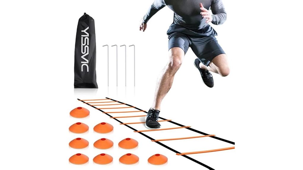 20ft 12 rung ladder cones