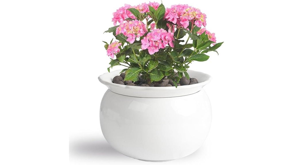 6 inch ceramic self watering pot