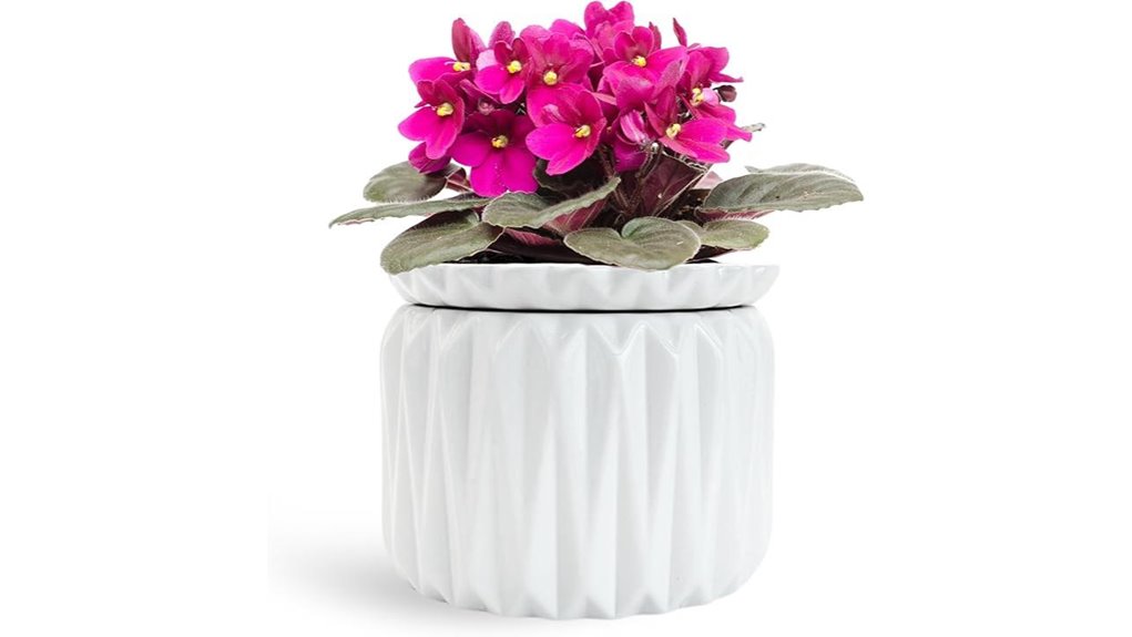 6 inch self watering african violet planter