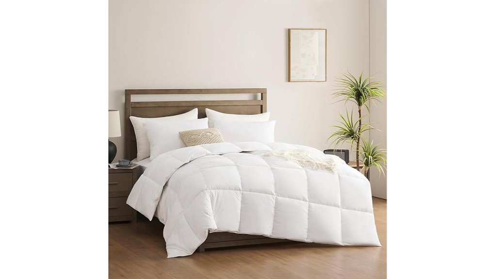 accuratex queen 400gsm comforter