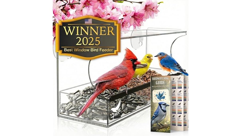 acrylic window bird feeder