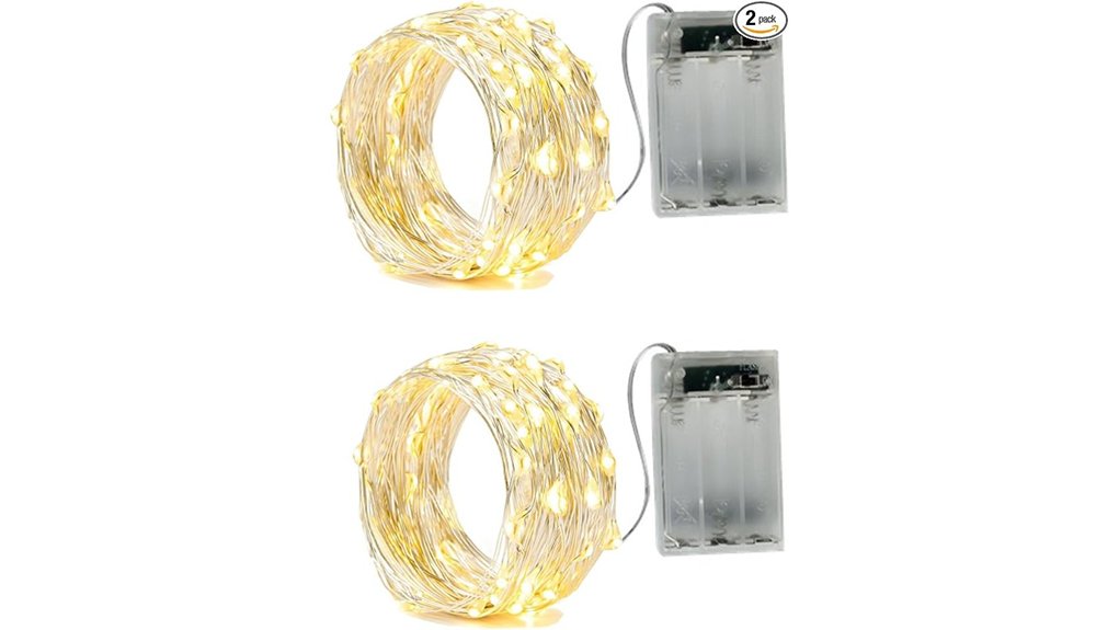 battery powered silver 20 led lights
