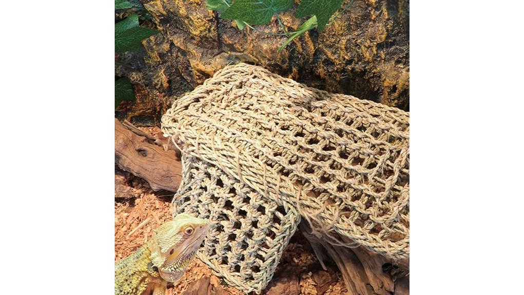 bearded dragon hammock decor