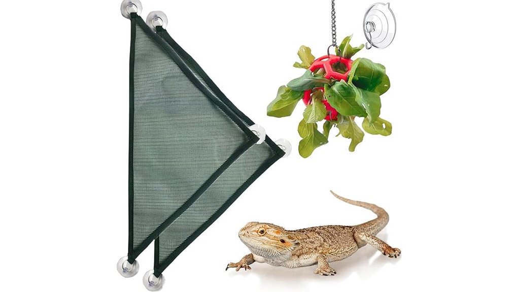 bearded dragon hammock enrichment