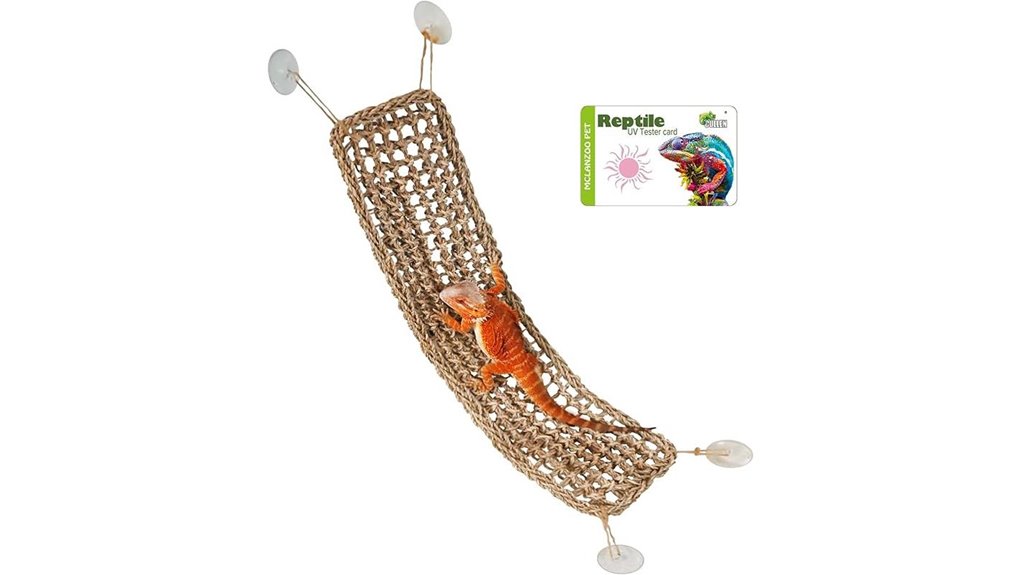 bearded dragon hammock seagrass bed