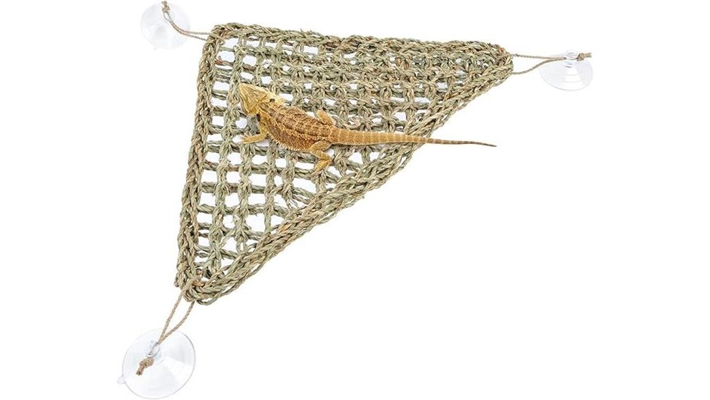 bearded dragon hammock triangle