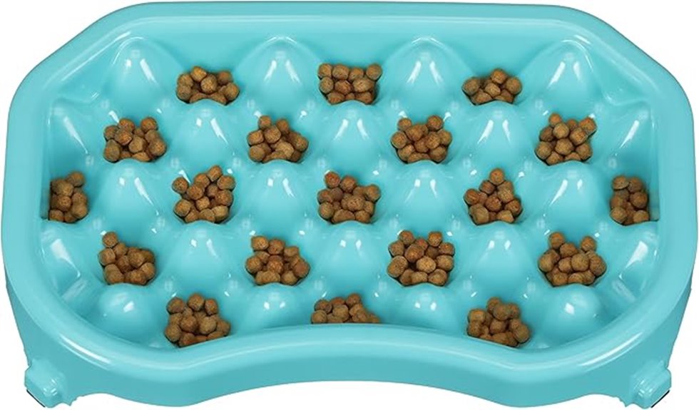 bpa free slow feeder non slip bowl