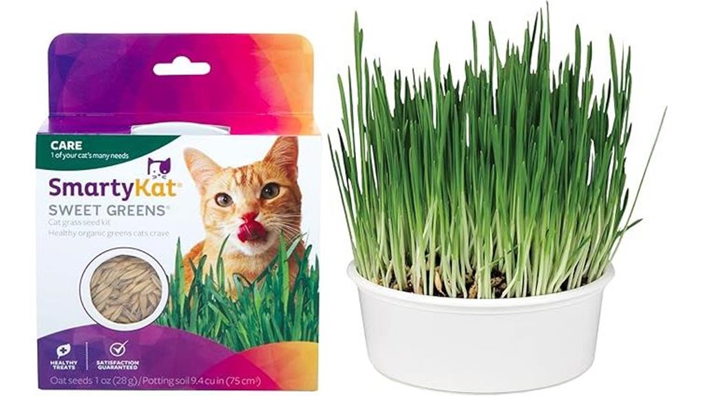 cat grass grow kit for digestion