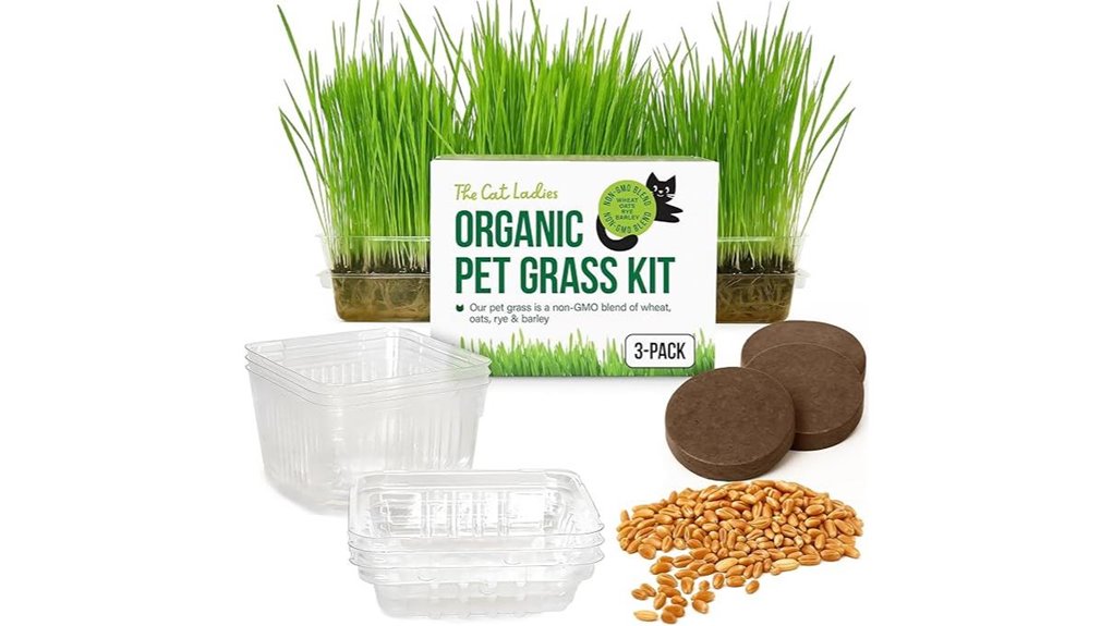 cat grass growing kit for indoor cats