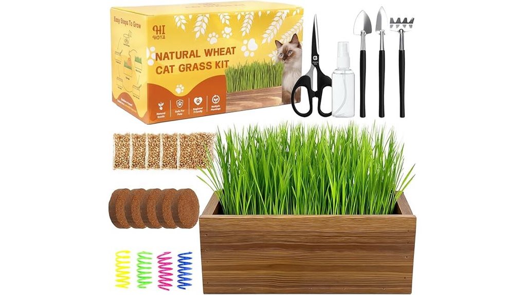cat grass kit 5 pack planters