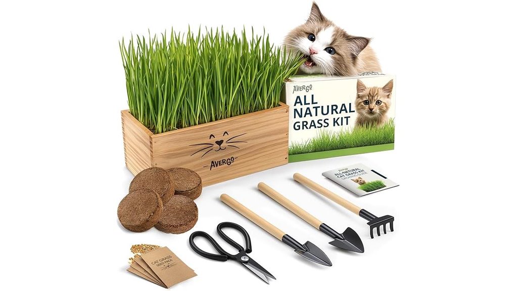 cat grass kit indoor 4 seed packets