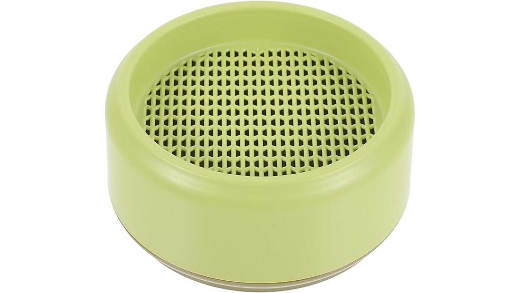 cat grass planter kit for indoor cats
