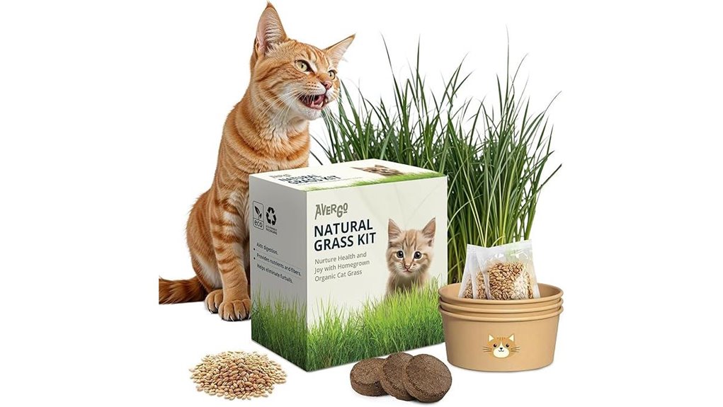 cat grass seed packets for indoor cats