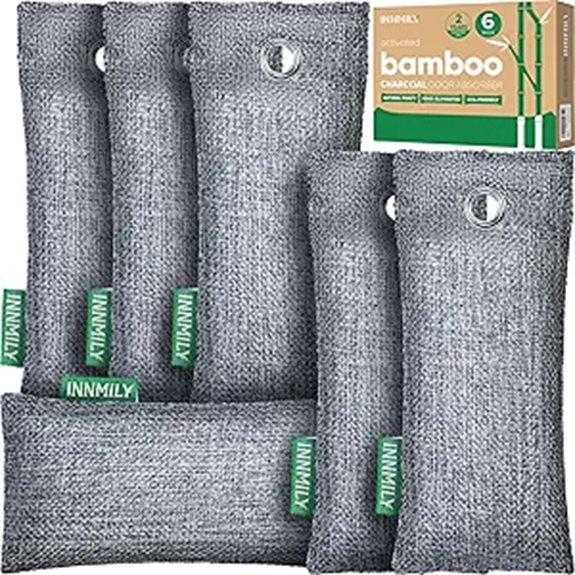 charcoal shoe odor eliminator