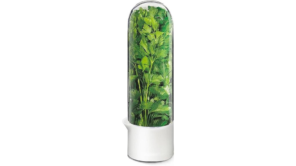 cilantro fridge herb keeper container