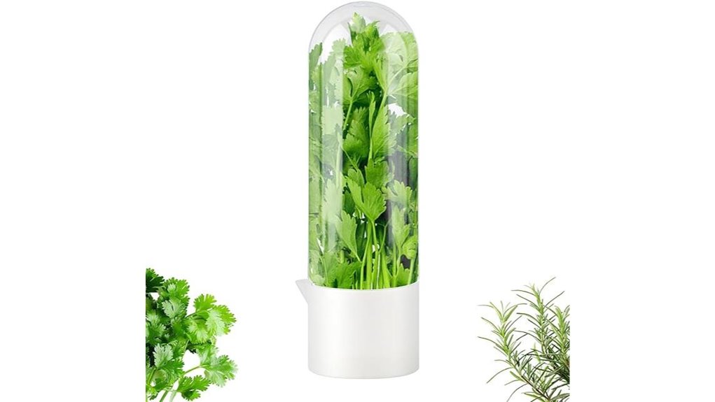cilantro fridge herb keeper