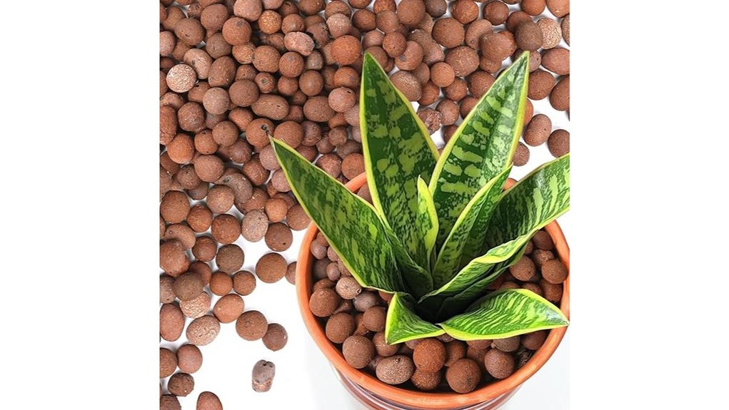 clay pebbles for indoor plants