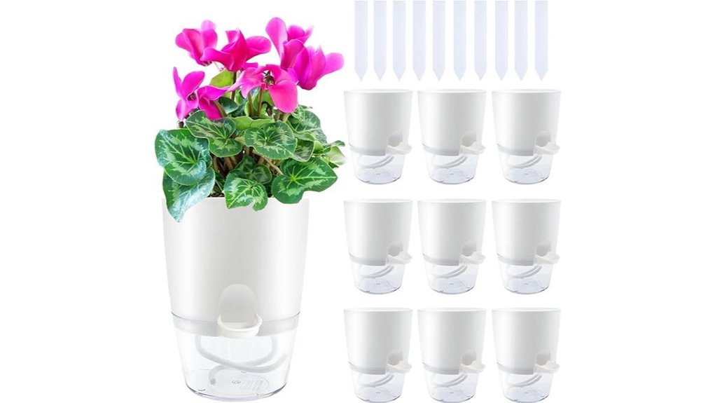 clear 10 pack self watering planters