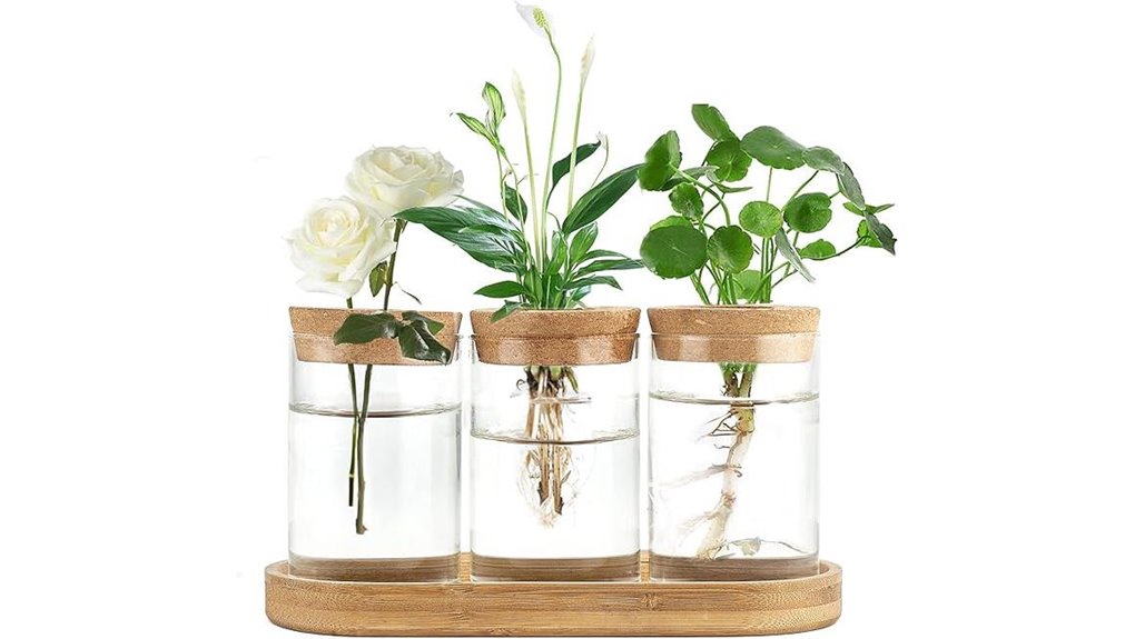 dahey glass terrarium plant station