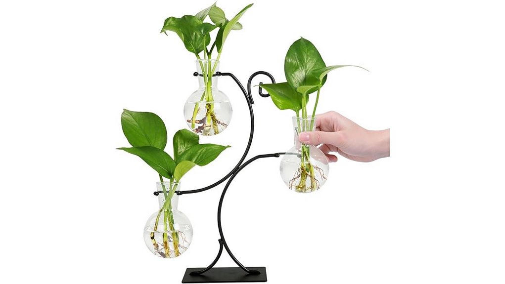 desktop terrarium three vases