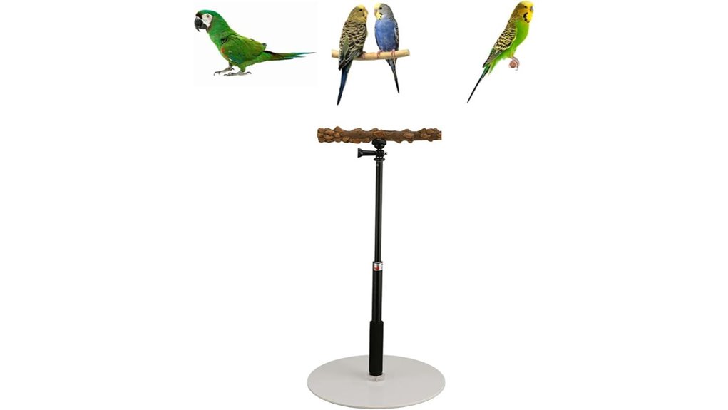 detachable adjustable tabletop perch