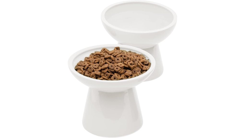 dual extra wide ceramic bowls