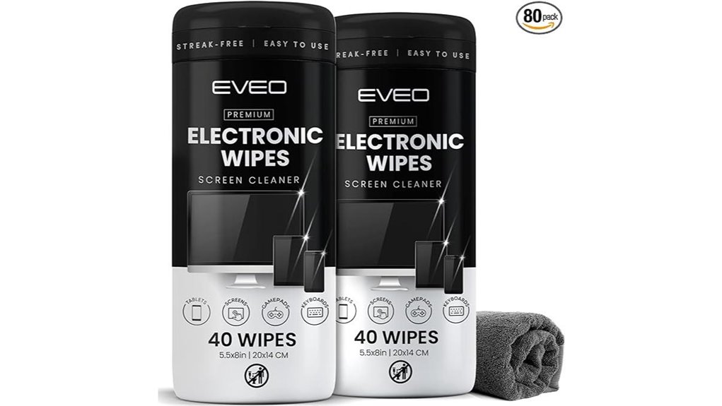 electronic screen cleaning kit