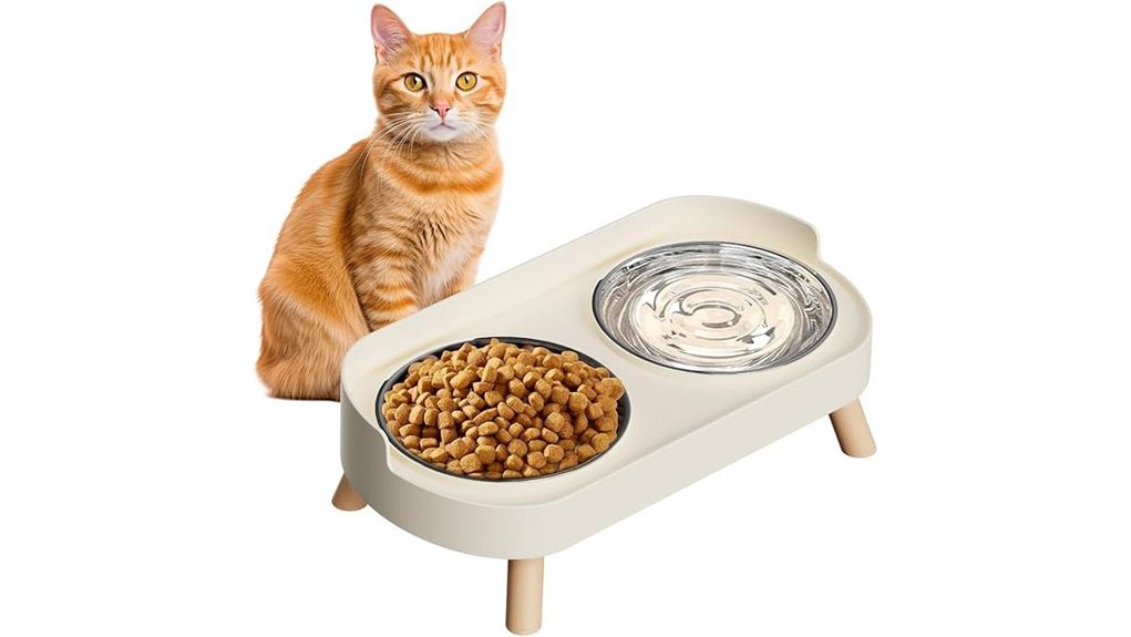 elevated stainless cat bowls