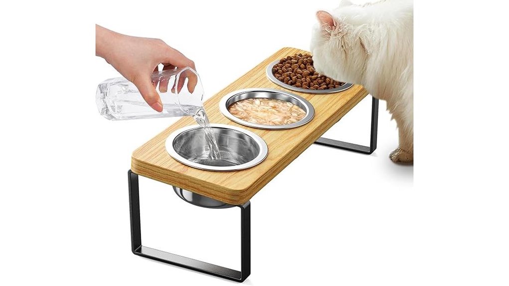 elevated stainless cat bowls