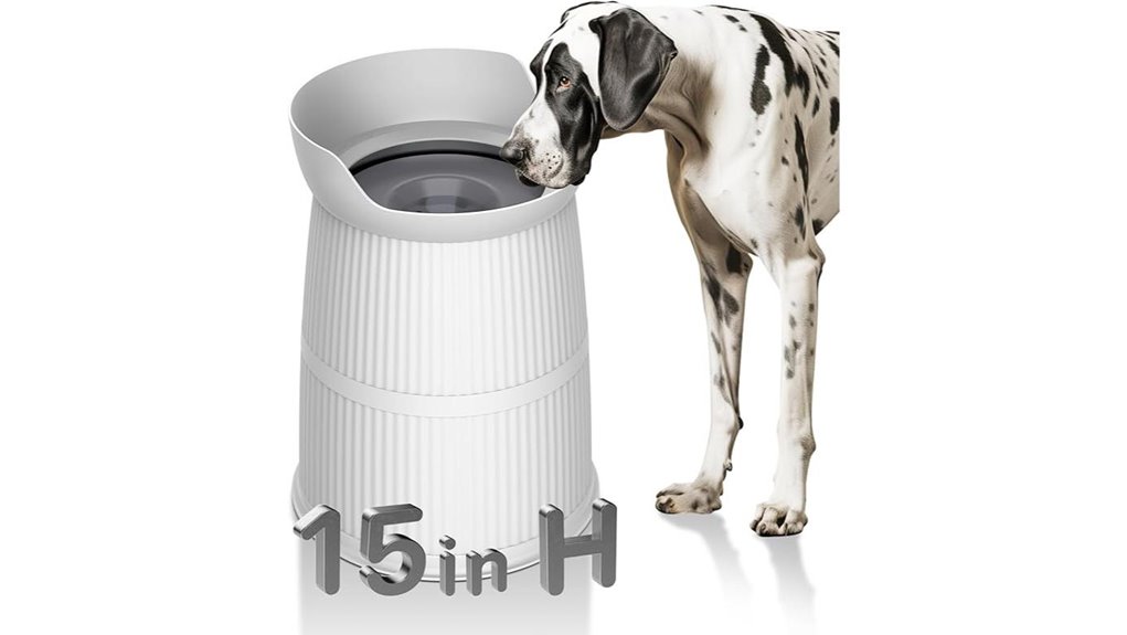 elevated stainless dog bowl