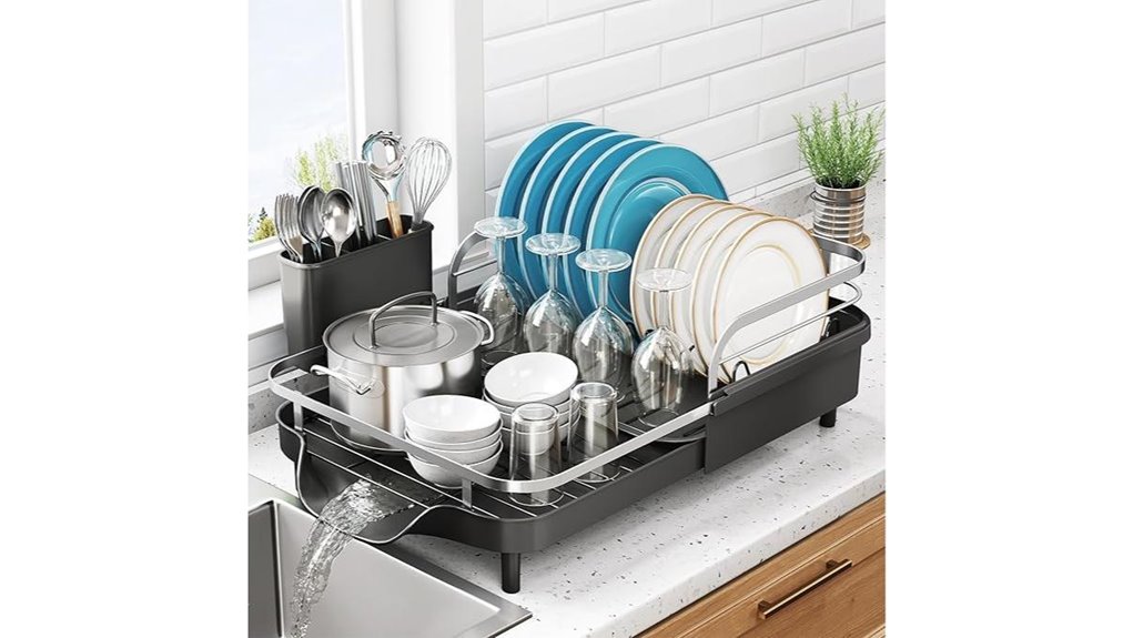expandable dish rack utensils
