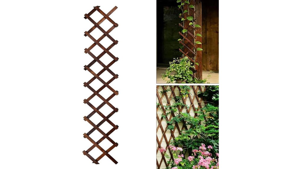 expandable wooden garden trellis