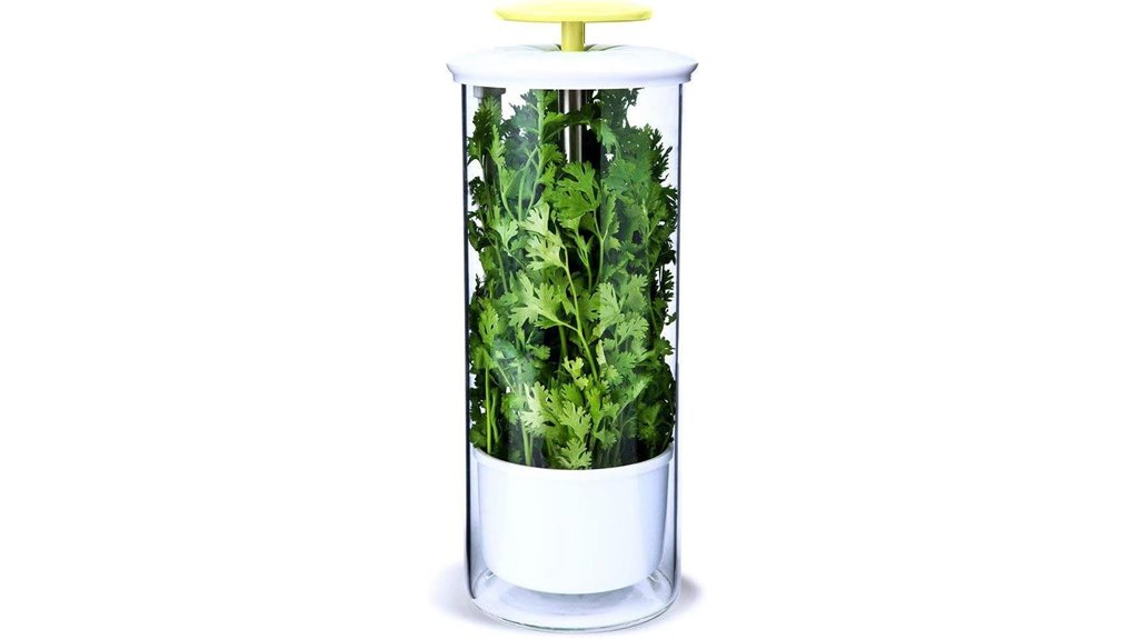 extra large herb keeper