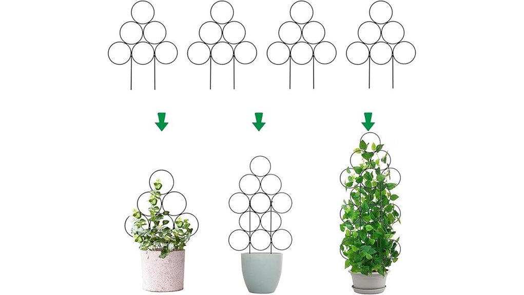 four indoor black trellises