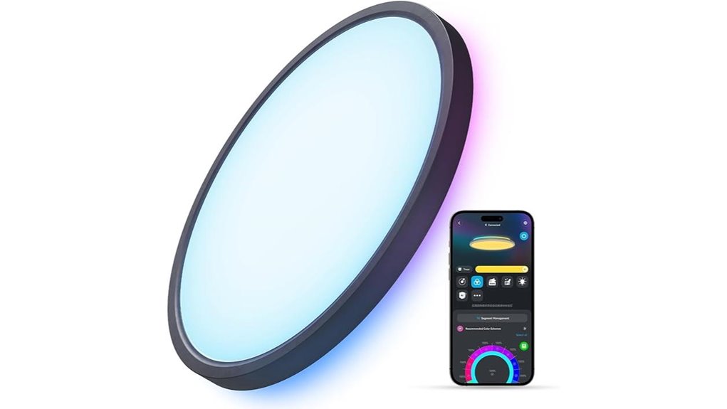 govee rgbic ceiling light