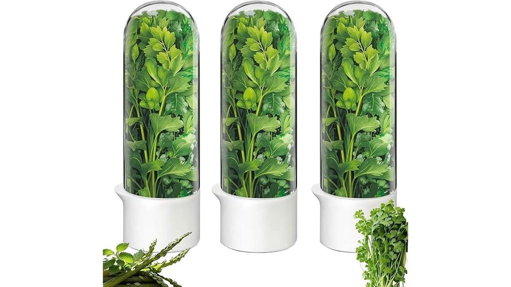 herb freshness refrigerator keeper