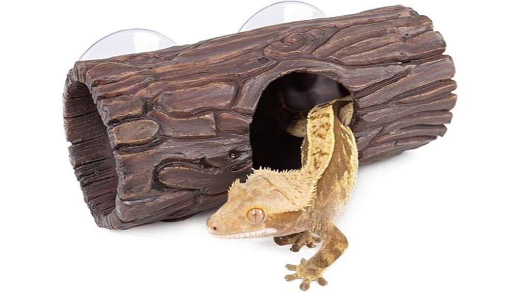 hermit crab lizard hideout