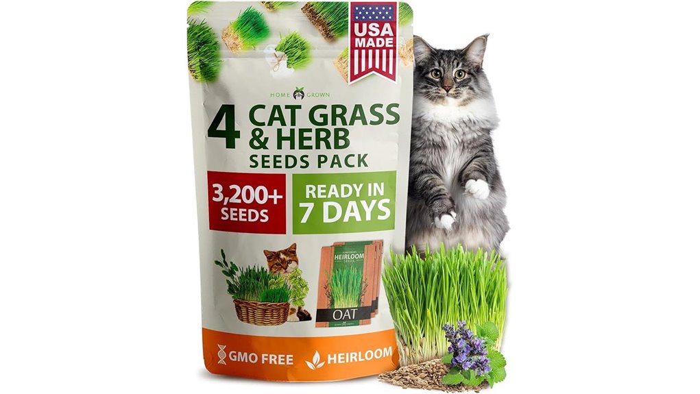 home grown cat grass kit