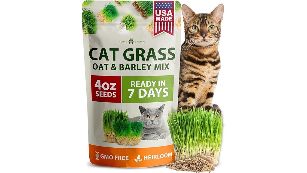 home grown cat grass seeds oat barley