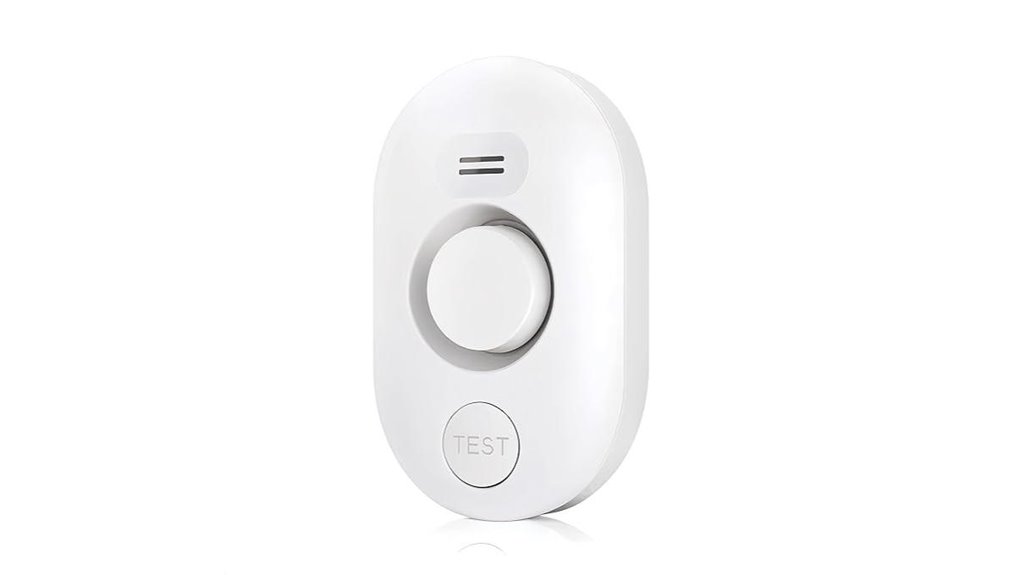 home leak detection alarm