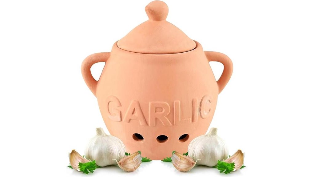home x terracotta garlic keeper