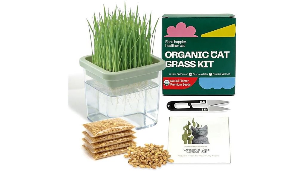 hydroponic cat grass kit