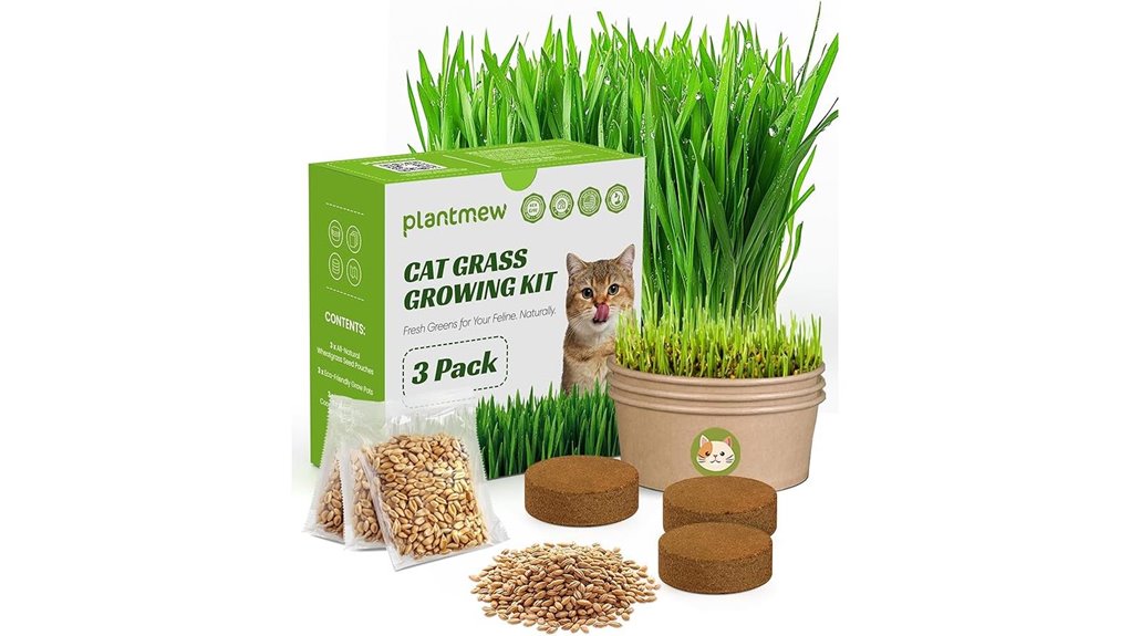 indoor cat grass kit 3 pack