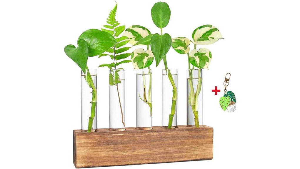 kaxyew hydroponic plant propagation