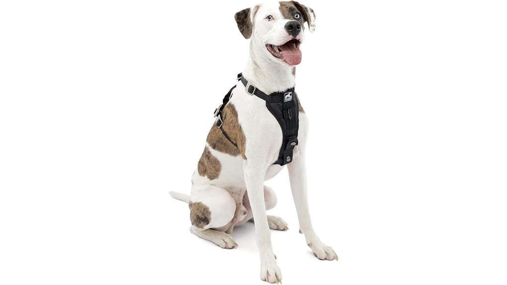 kurgo tru fit harness medium