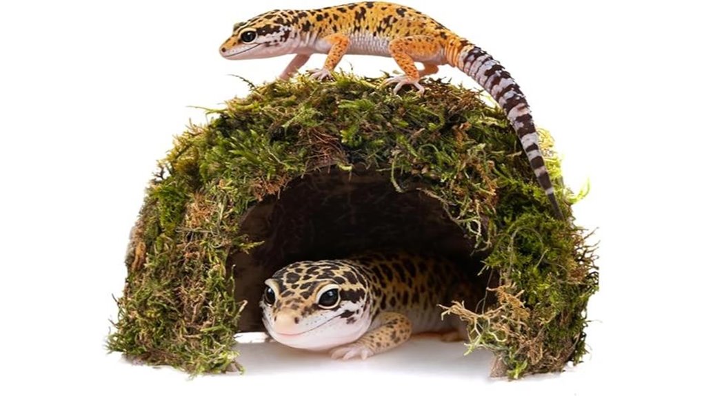 leopard gecko dome caves