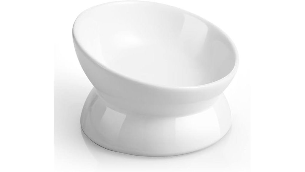 loejan elevated ceramic bowl