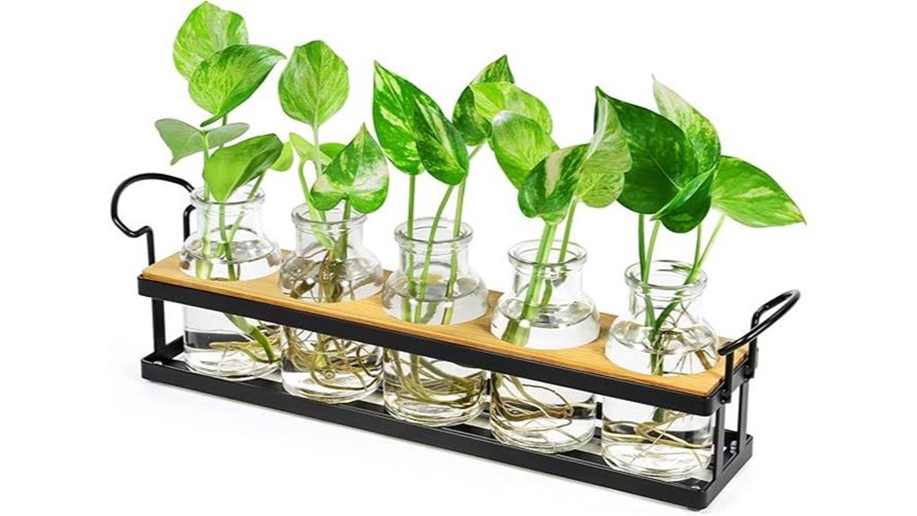 metal retro 5 jar terrarium