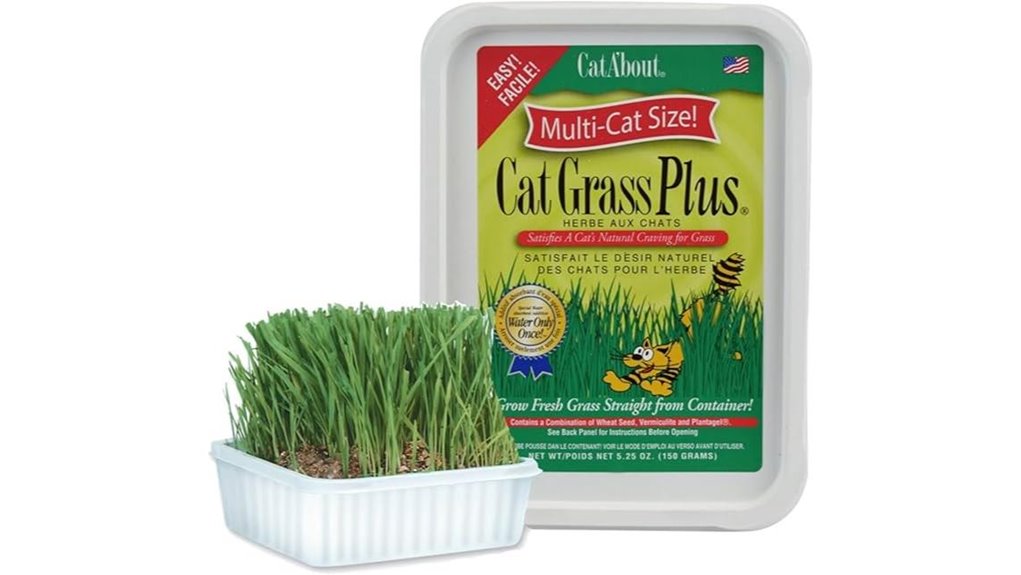 miracle care cat grass kit