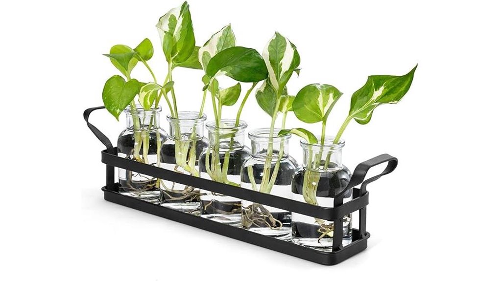 mkono 5 jar hydroponic terrarium
